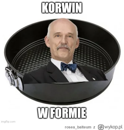 rosea_balteum - Korwin w formie (⌐ ͡■ ͜ʖ ͡■)
#korwin #apozatymsadze #gownowpis #humor...