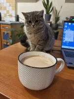 wybryk_natury - Kakałko z Misią #pokazkota #misiafanclub