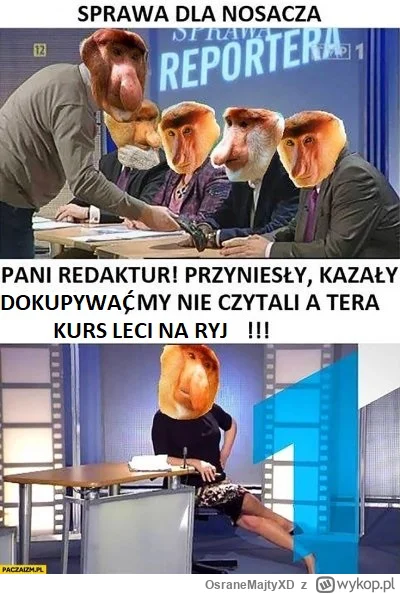 OsraneMajtyXD - Polowa wykopkow teraz xD #gielda
#meczennicyxtb