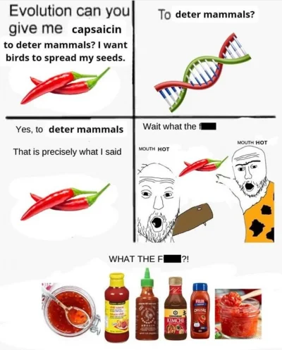 srul2016 - #heheszki #humorobrazkowy