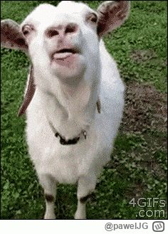 pawelJG - @Puchacz93: