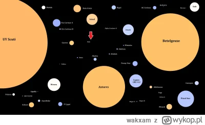 wakxam - Gdyby się ktoś zastanawiał jak duże jest Słońce na przykładzie innych gwiazd...