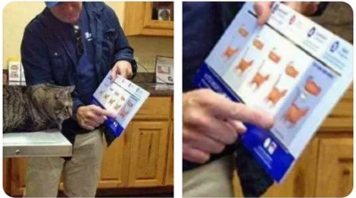 Atreyu - Jestem dużym fanem tego zdjęcia gdzie weterynarz pokazuje #kiktu że jest za ...