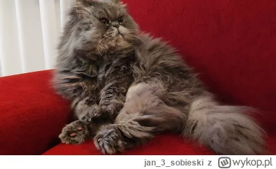 jan3sobieski - 19 Lutego odszedł mój przyjaciel, ważny członek mojej rodziny, mój prz...