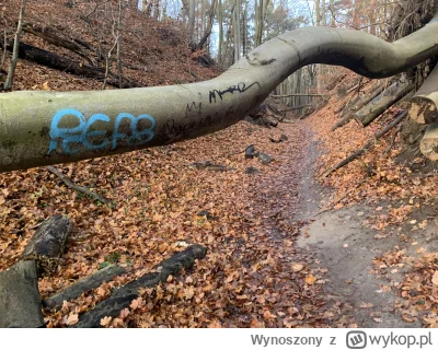 Wynoszony - Graficiarze to podludzie 
#graffiti #las #patologiazmiasta