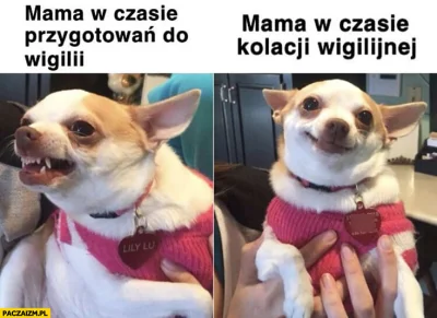 maro500 - Klasyk co roku. U mnie juz sie zaczelo. A jak u was? xDDD
SPOILER