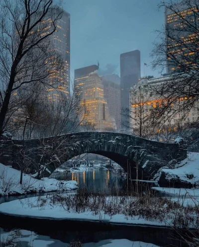 BozenaMal - Central Park, New York zimą. Klimatycznie.
#nowyjork #fotografia #zima