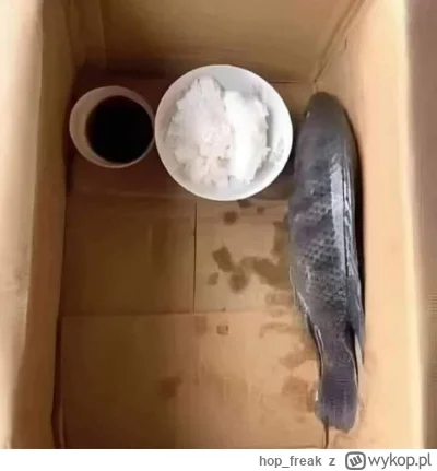 hop_freak - Ryba nie chce nic jeść, jakieś pomysły? ( ͡° ʖ̯ ͡°)