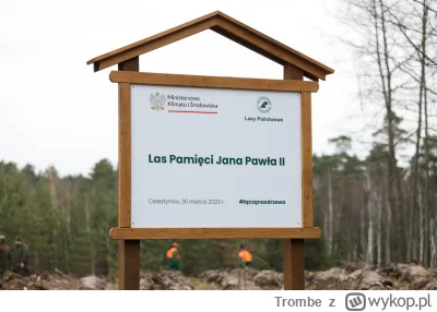 Trombe - @jaroty: Jest już las, więc do bagna blisko ( ͡° ͜ʖ ͡°)