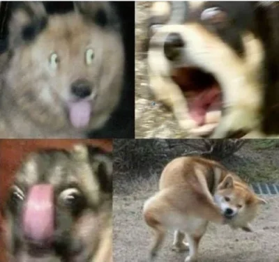 vateras131 - Jeszcze tylko 4 dni 
SPOILER
#archiwumburzowegoswiatla