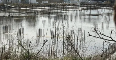 affairz - podobno kolejne regaty w je#aniu wszystkich Polaków na dopłaty odbędą się w...