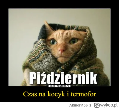 Akinori456 - Proszę Państwa... Zaczęło się!
Mamy P---------K...
Trzeba będzie już cie...