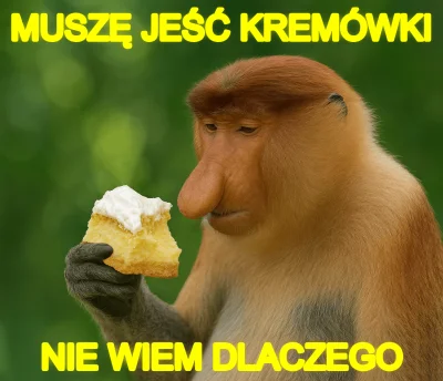 femboy69 - !#konkursnanajbardziejgownianymemznosaczem #2137 #heheszki #humorobrazkowy