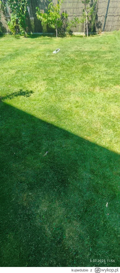 kujwdubie - @misiopysio: to ja się podłącze , u mnie też azot? bo dwa tyg temu sypnal...