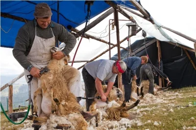 od-bana-do-bana - @Mete: Dokładnie. Robić za PSZOK? Przecież firmy powinny odbierać o...