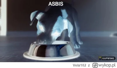 Vela102 - #asbis #gielda