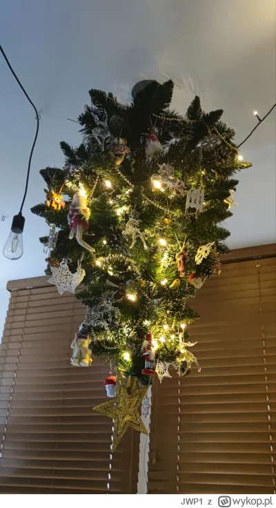 JWP1 - Kiedy masz w domu koty:
#koty #choinka #swieta #heheszki