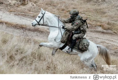 funkmess - >na koniu przeciwko czołgom xD

@RwandyjskiFront: Ekhem