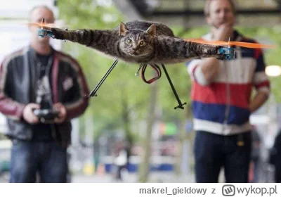 makrel_gieldowy - @gadatos: wolałbym kota-drona