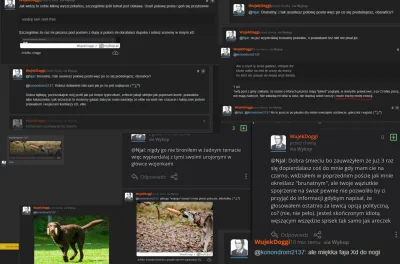 konondrom2137 - Przedstawiam państwu ABSOLUTNE KINO w wykonaniu @WujekDoggi

wyskakiw...