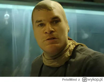 PetalMind - @ibleedforyou: