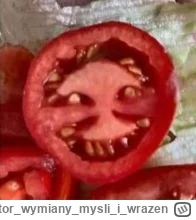 Kantorwymianymysliiwrazen - @RitmoXL: @robibobi123 Pareidolia jak się patrzy.😈