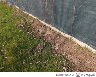 klintoniusz - Po niwelacji terenu na działce wyszło tak, że trawnik mam sporo niżej n...