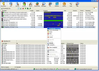 X.....x - W 2005 roku to były czasy, na Neostradzie 256kb na pliki czekało się po dwa...