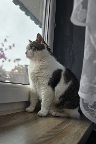 Solsith - @vateras131: najpier masa, potem masa¯\(ツ)/¯