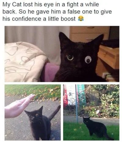 deap - #protip #koty