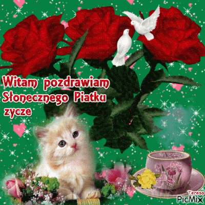 kapazgon - Dzień dobry Mirki, miłego dnia życzę! (｡◕‿‿◕｡)