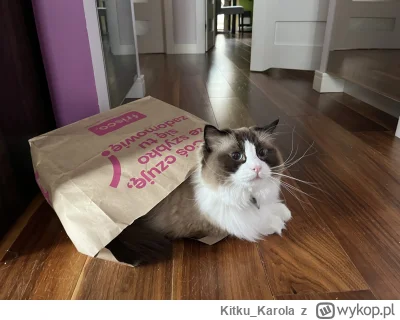 KitkuKarola - @wybryknatury