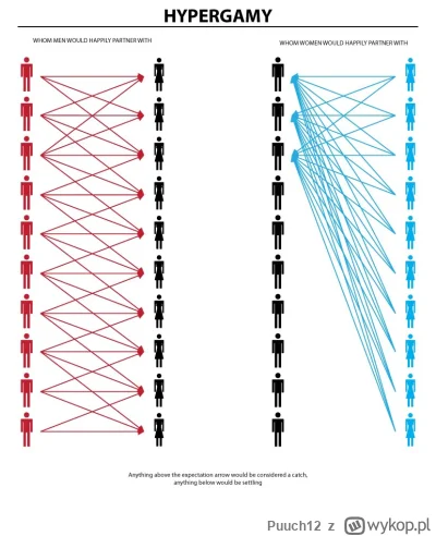 Puuch12 - @Polnischefuhrer: to ze jak jesteś przypakowany i masz laski na zawołanie t...