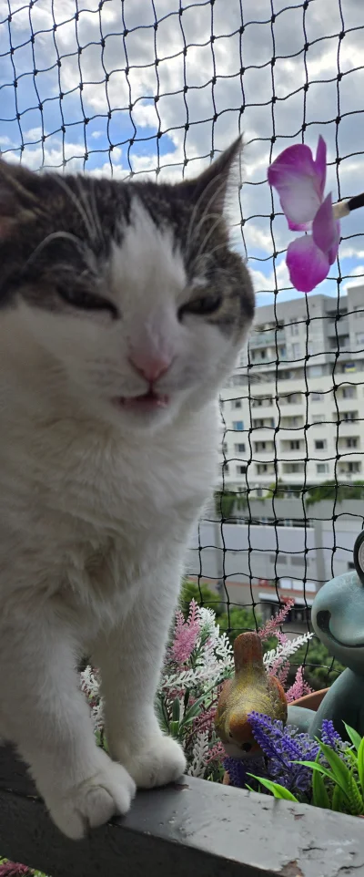 Solsith - @Kantorwymianymysliiwrazen: ekologiczne, na słoneczko( ͡° ͜ʖ ͡°)