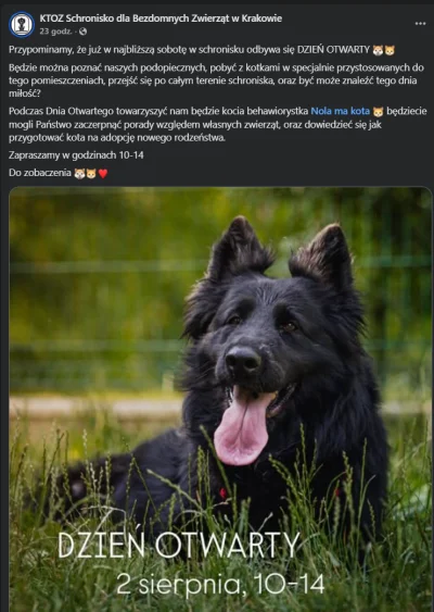 Krs90 - #krakow #zwierzaczki #zwierzeta #psy #koty #schroniskodlazwierzat #ktoz 
Był ...