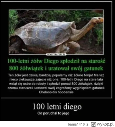 bania1410 - @CzechoslowackiZwiazekSzachowWodnych