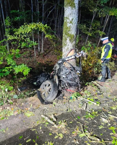 Turkotka - Ale rozszarpało gruza…

https://radiogdansk.pl/wiadomosci/region/2023/10/0...