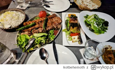 kotbehemoth - Powiem tak - wolę takie irańskie kebaby z jagnięciny i wołowiny niż ste...