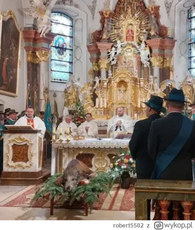 robert5502 - Tak, dobrze widzisz, przed oltarzem leży truchlo dzika ( ͡º ͜ʖ͡º)
Przed ...