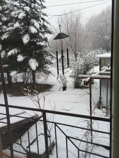 Niewiemja - #ogrodnictwo #domowasuszarnia