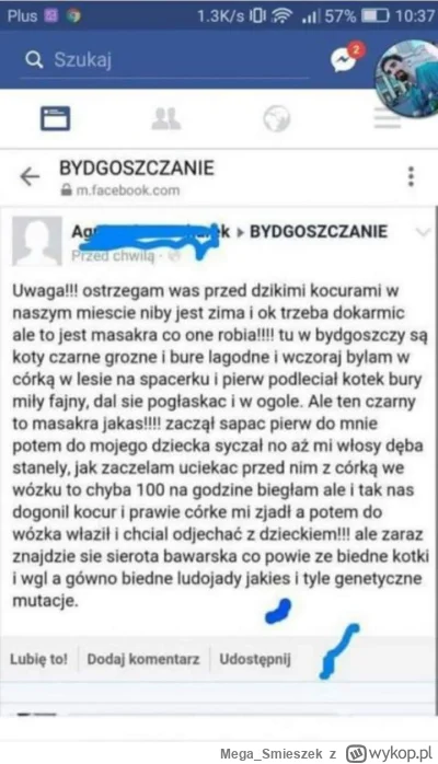 Mega_Smieszek - #koty #heheszki #madka #bydgoszcz