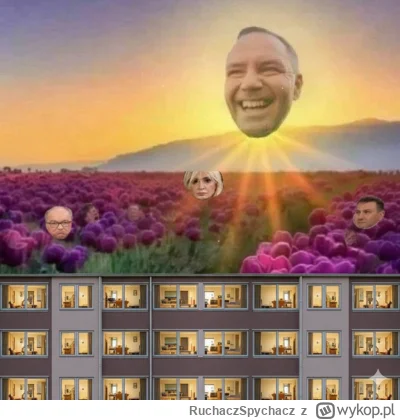 RuchaczSpychacz - #codziennynawrocki #polityka #zlodziej #gownowpis