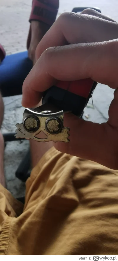 Starr - Kotka mam #koteczkizprzypadku #koty