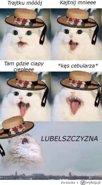 Z.....a - Ale nostalglem, rok nie byłem od przeprowadzki z #lublin na zachód Polski, ...