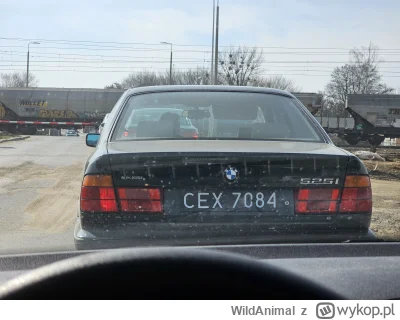 WildAnimal - #czarneblachy #motoryzacja #samochody