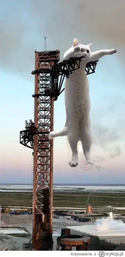 4ntymateria - #koty #spacex #elonmusk #heheszki