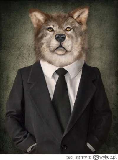 twojstarrry - @herflik kontakty rodzą kontrakty