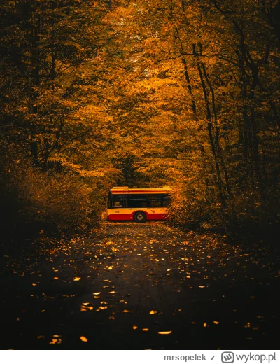 mrsopelek - W jesiennym anturażu niczym kamelon, ale przede mną się nie ukryje. Złapa...