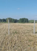 DrN_25 - Mireczki pijcie że mną kompot. W końcu podjąłem rękawice budowy domu własnym...