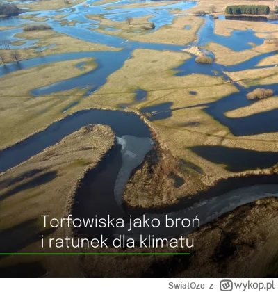 SwiatOze - 🔍Coraz więcej europejskich rządów zastanawia się, czy rewitalizacja bagie...